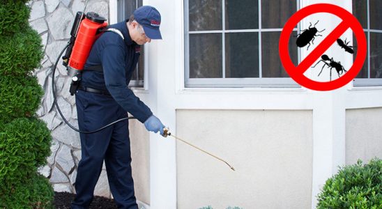 Selçuk Gümüşkurt İlaçlama böcek ilaçlama ve haşere kontrolü — ilaclama-tr.com